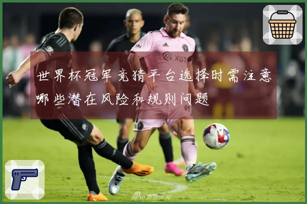 世界杯冠军竞猜平台选择时需注意哪些潜在风险和规则问题