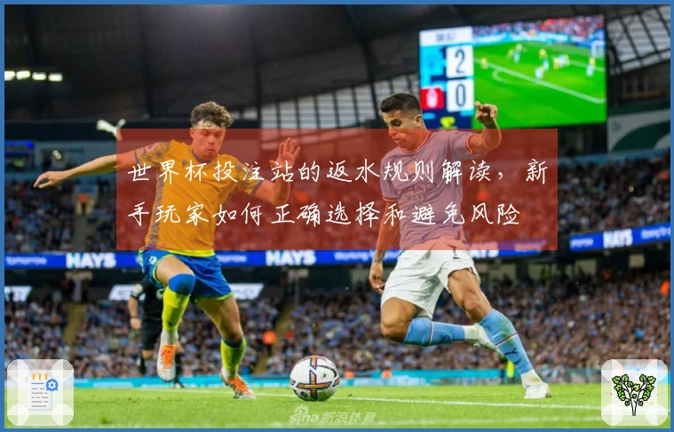 世界杯投注站的返水规则解读，新手玩家如何正确选择和避免风险