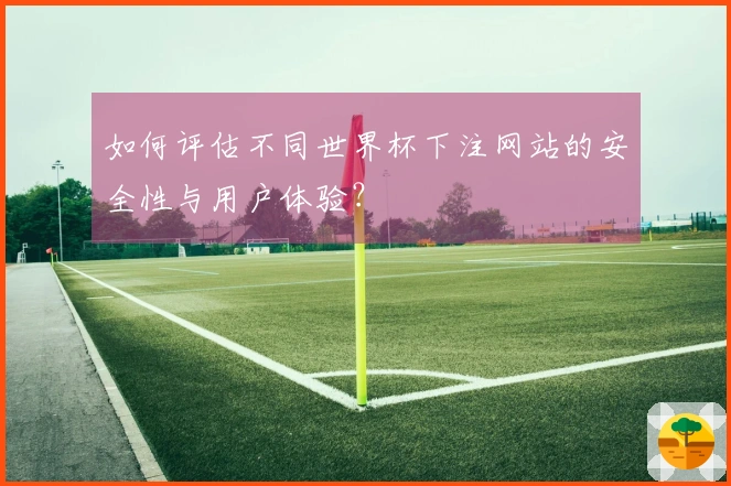 如何评估不同世界杯下注网站的安全性与用户体验？