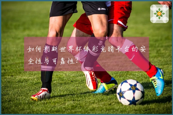 如何判断世界杯体彩竞猜平台的安全性与可靠性？