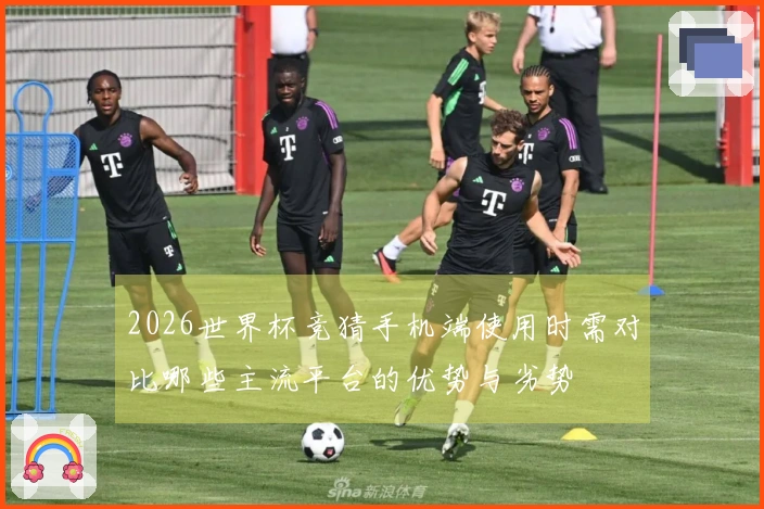 2026世界杯竞猜手机端使用时需对比哪些主流平台的优势与劣势