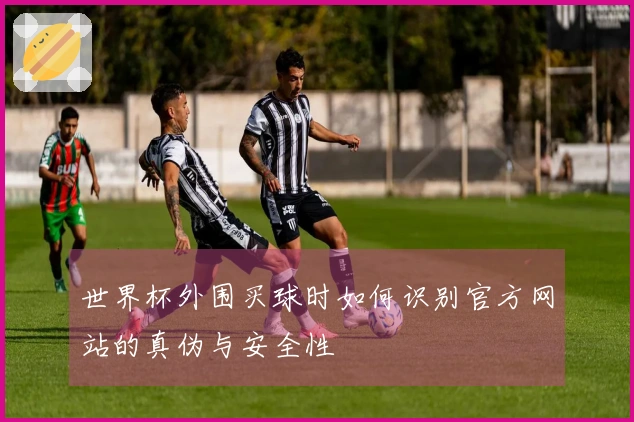 世界杯外围买球时如何识别官方网站的真伪与安全性