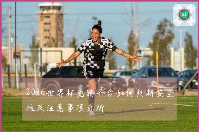 2026世界杯竞猜平台如何判断安全性及注意事项分析