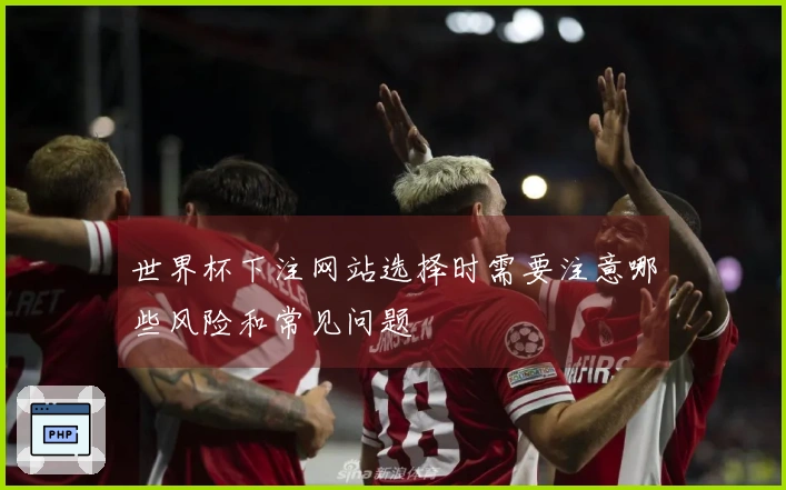 世界杯下注网站选择时需要注意哪些风险和常见问题 알려주세요