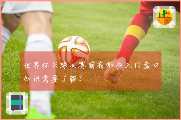 世界杯买球决赛前有哪些入门盘口知识需要了解？
