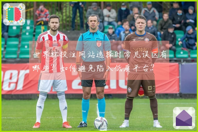 世界杯投注网站选择时常见误区有哪些？如何避免陷入低质平台？