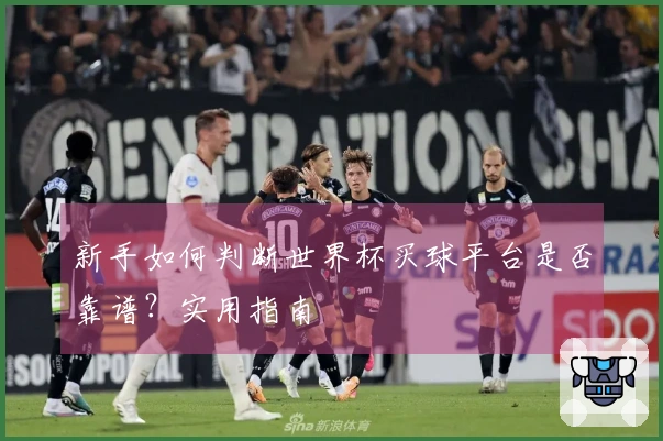 新手如何判断世界杯买球平台是否靠谱？实用指南ออก