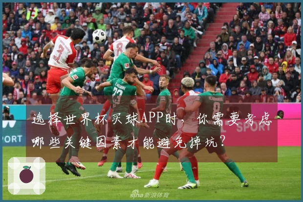 选择世界杯买球APP时，你需要考虑哪些关键因素才能避免掉坑？