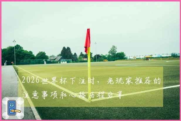 2026世界杯下注时，老玩家推荐的注意事项和心路历程分享