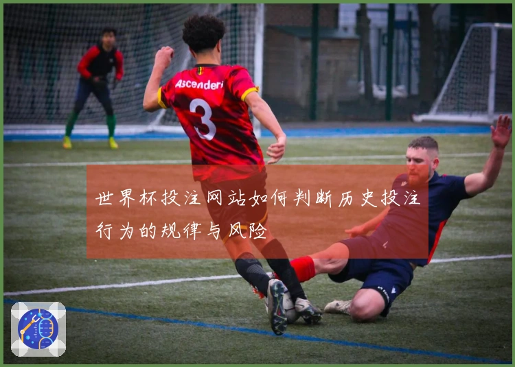 世界杯投注网站如何判断历史投注行为的规律与风险