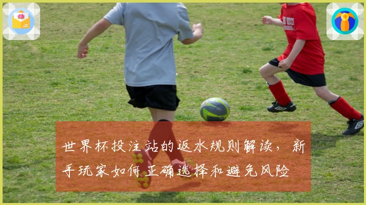 世界杯投注站的返水规则解读，新手玩家如何正确选择和避免风险