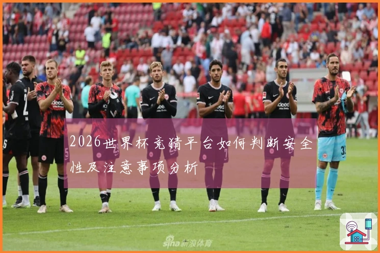 2026世界杯竞猜平台如何判断安全性及注意事项分析