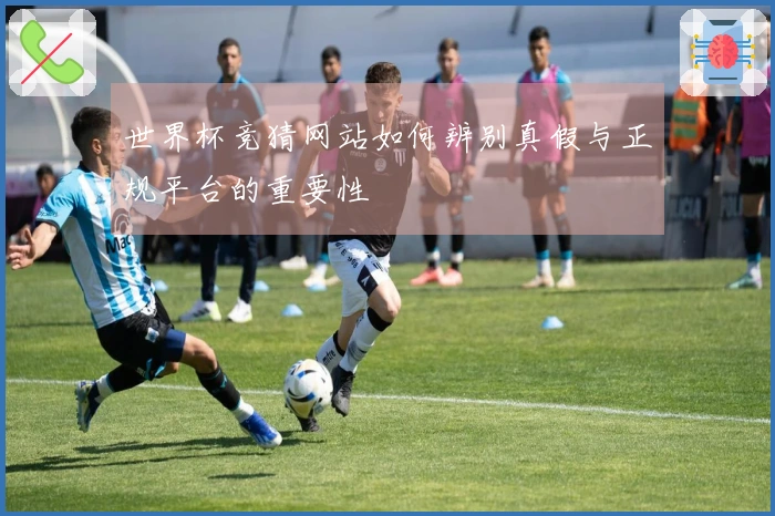 世界杯竞猜网站如何辨别真假与正规平台的重要性