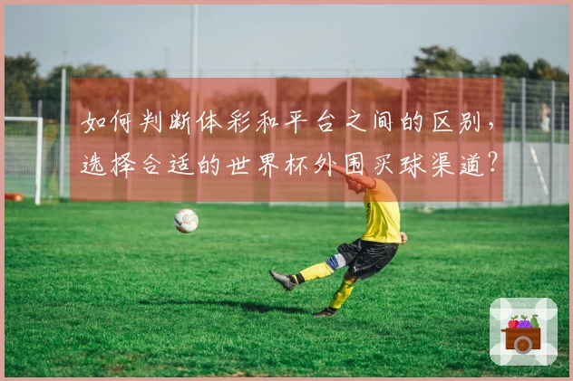 如何判断体彩和平台之间的区别，选择合适的世界杯外围买球渠道？