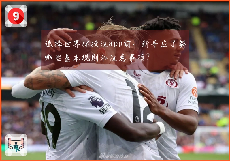 选择世界杯投注app前，新手应了解哪些基本规则和注意事项？