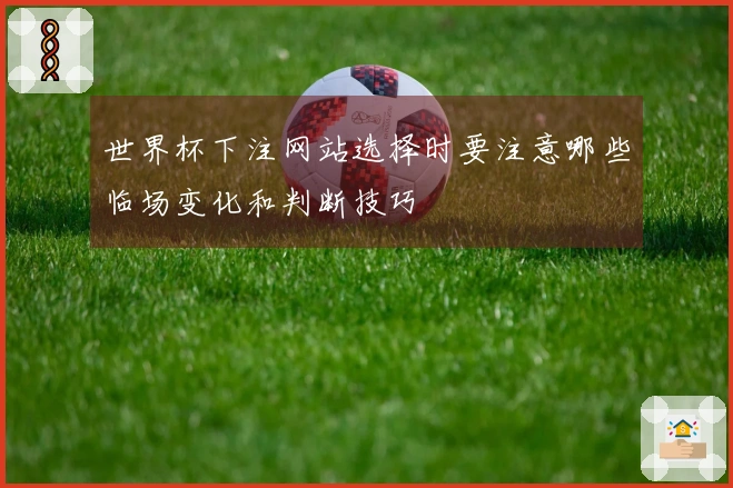 世界杯下注网站选择时要注意哪些临场变化和判断技巧