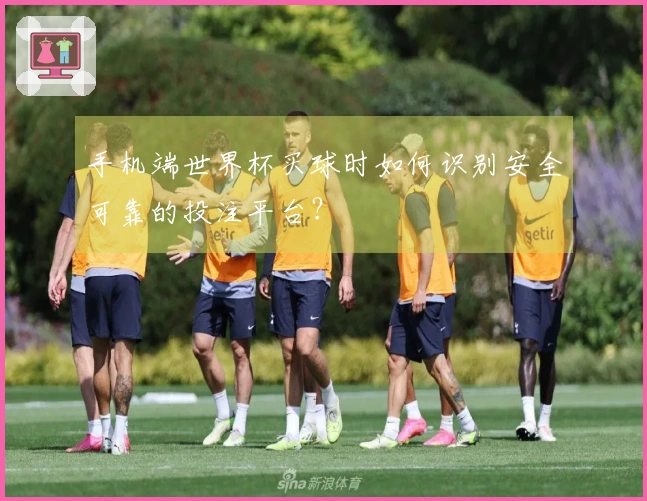 手机端世界杯买球时如何识别安全可靠的投注平台？
