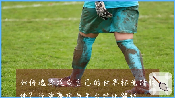 如何选择适合自己的世界杯竞猜软件？注意事项与平台对比解析