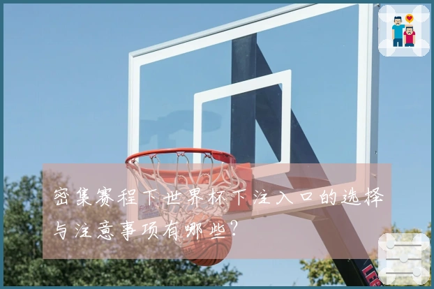 密集赛程下世界杯下注入口的选择与注意事项有哪些？