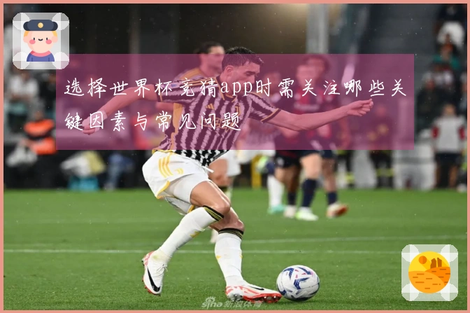 选择世界杯竞猜app时需关注哪些关键因素与常见问题