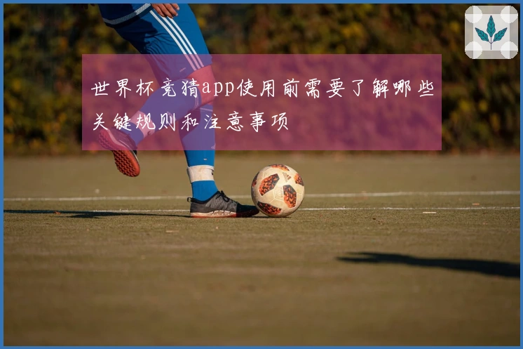 世界杯竞猜app使用前需要了解哪些关键规则和注意事项
