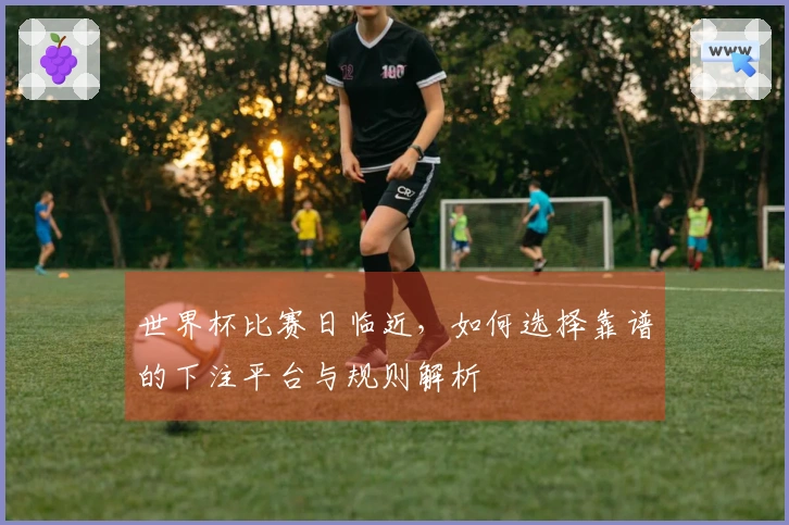 世界杯比赛日临近，如何选择靠谱的下注平台与规则解析