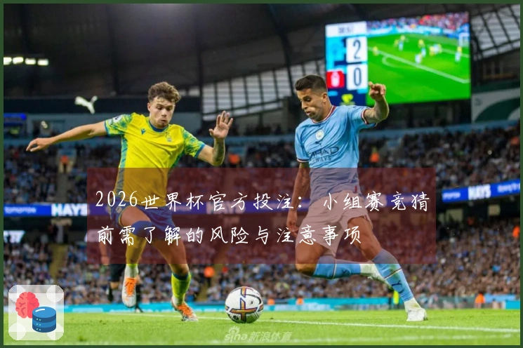 2026世界杯官方投注：小组赛竞猜前需了解的风险与注意事项